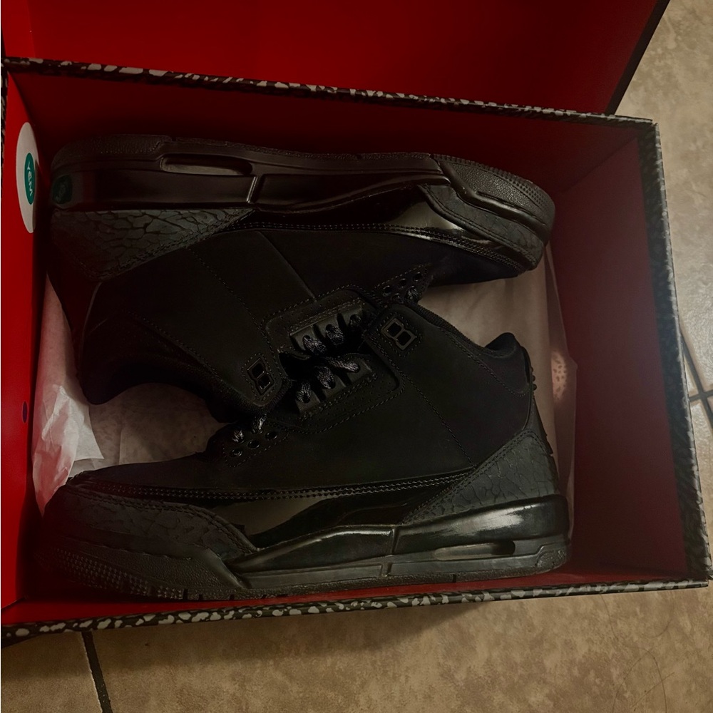 Jordan 3 black cats